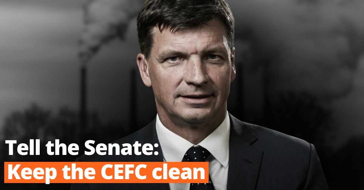 Angus Taylor "Tell the senate: Keep the CEFC clean"